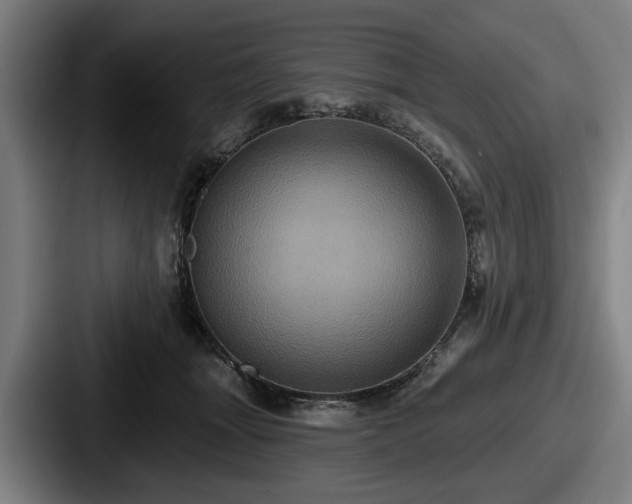 X0000087700463200705111406