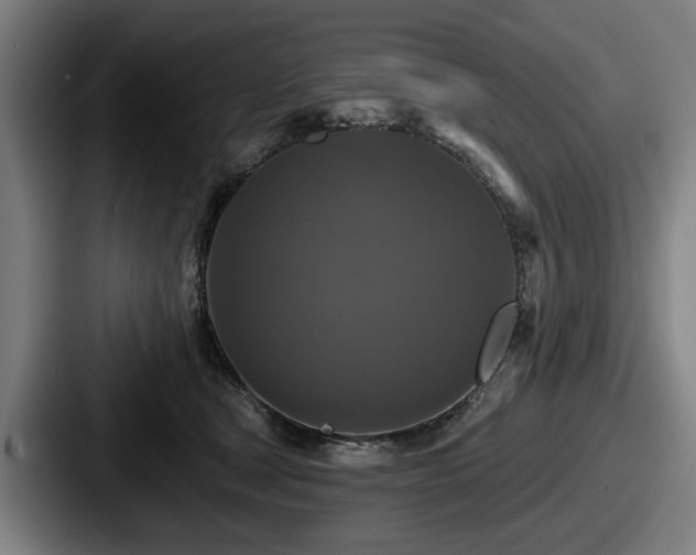 X0000087700465200705111406