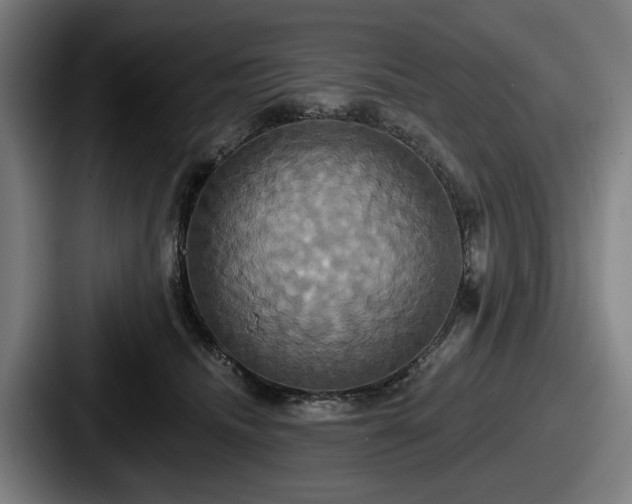 X0000087700468200705111406