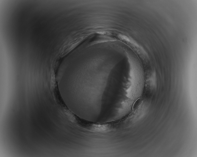 X0000087700469200705111406