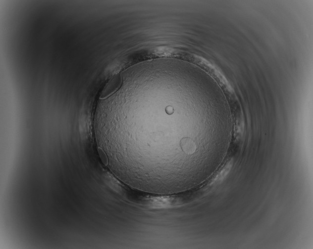 X0000087700473200705111406