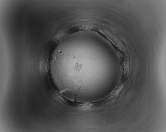 X0000087700474200705111406