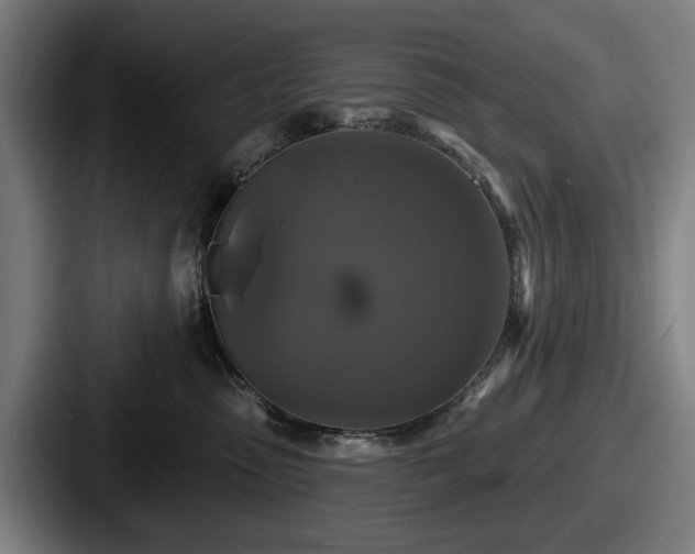 X0000087700475200705111406