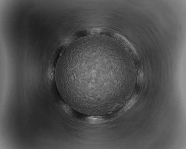 X0000087700477200705111406