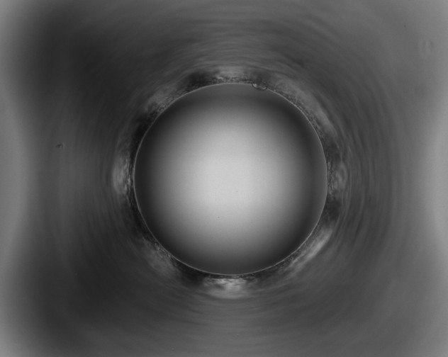 X0000087700478200705111406