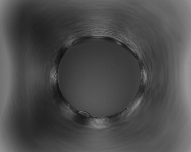 X0000087700479200705111406