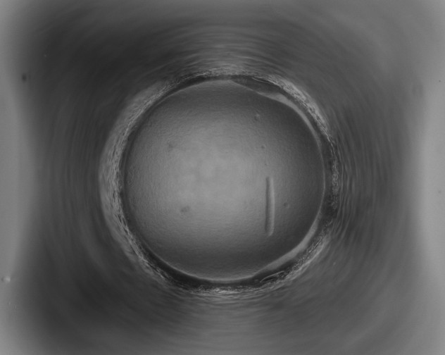 X0000087700481200705111406