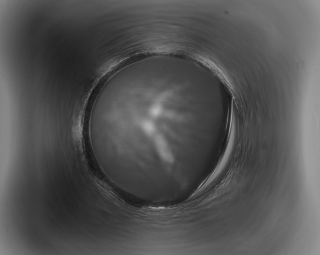 X0000087700483200705111406