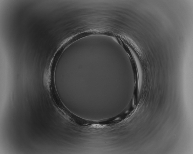 X0000087700484200705111406