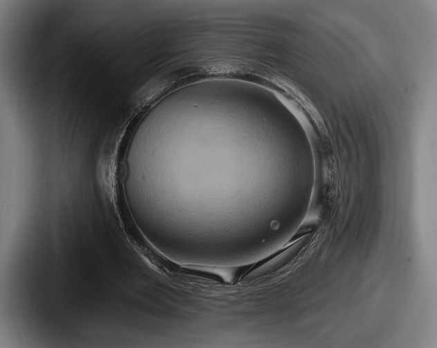 X0000087700485200705111406