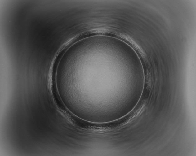 X0000087700486200705111406