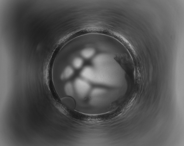 X0000087700487200705111406