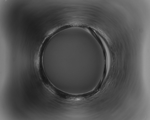 X0000087700488200705111406