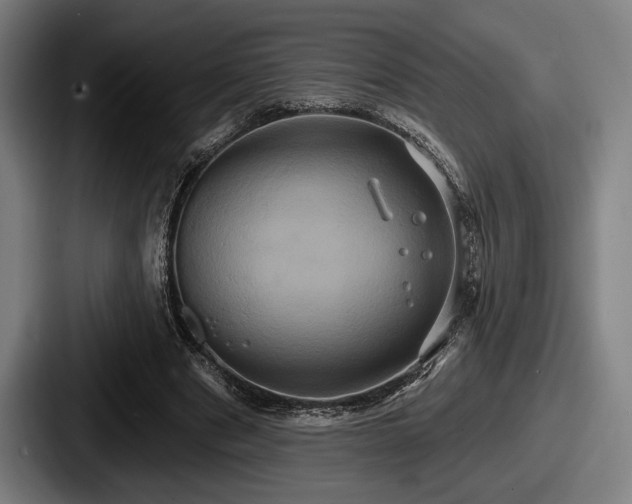 X0000087700489200705111406