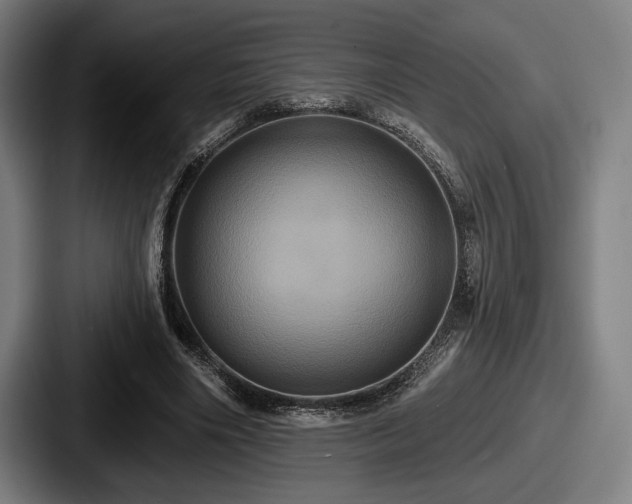 X0000087700490200705111406