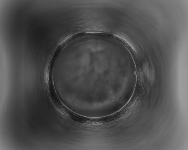 X0000087700491200705111406