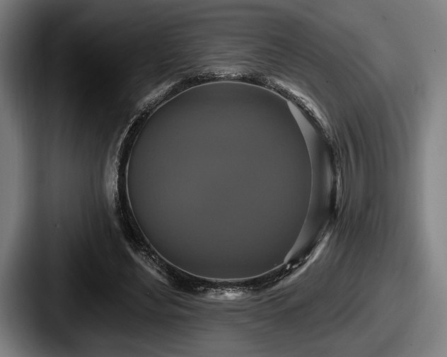 X0000087700492200705111406