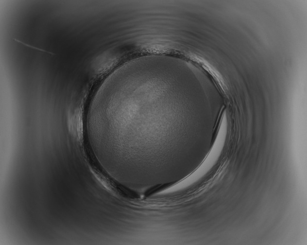 X0000087700493200705111406