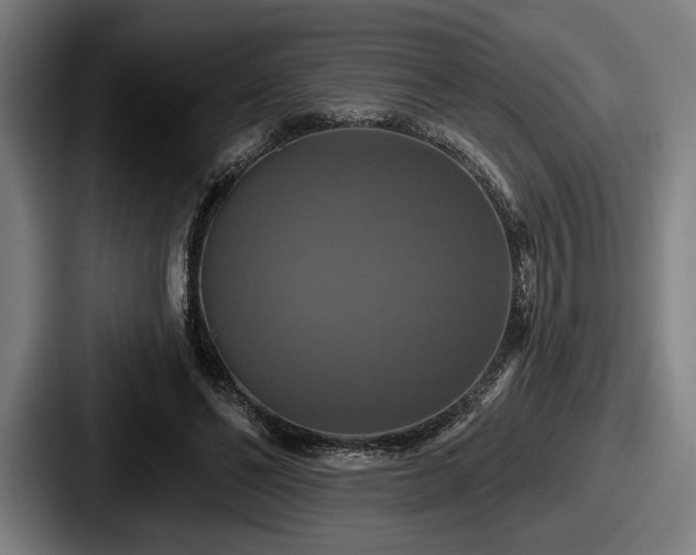 X0000087700494200705111406