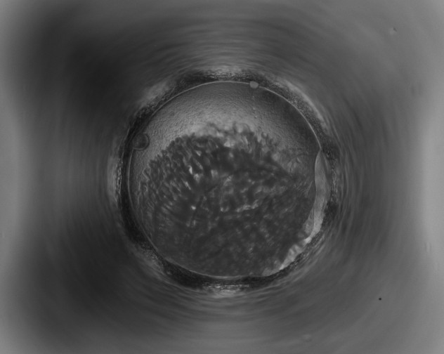 X0000087700495200705111406