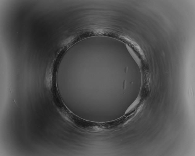 X0000087700496200705111405