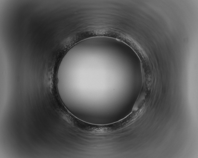 X0000087700497200705111405