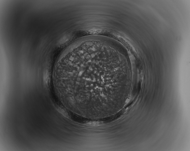 X0000087700499200705111405