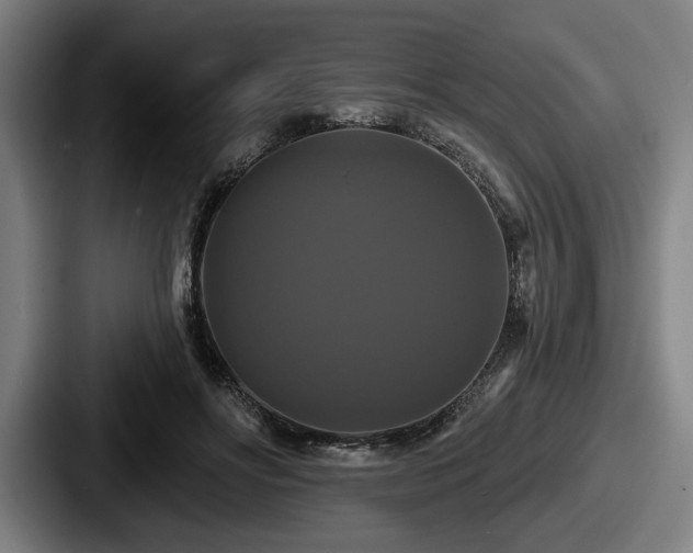 X0000087700502200705111405