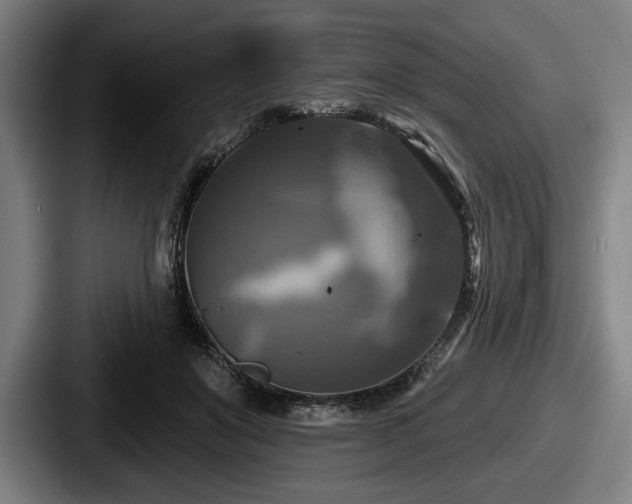 X0000087700503200705111405