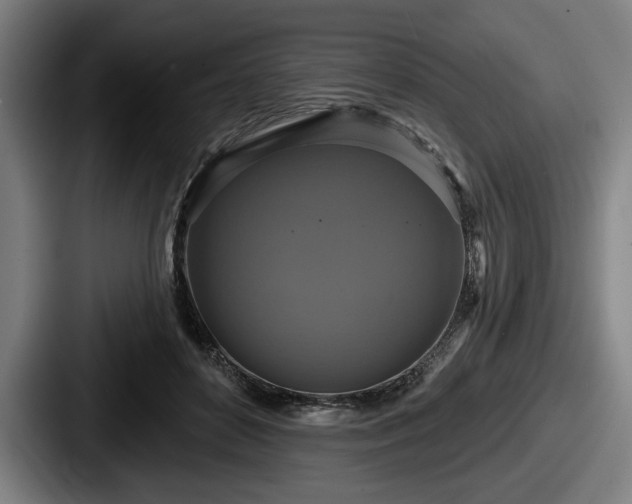 X0000087700504200705111405