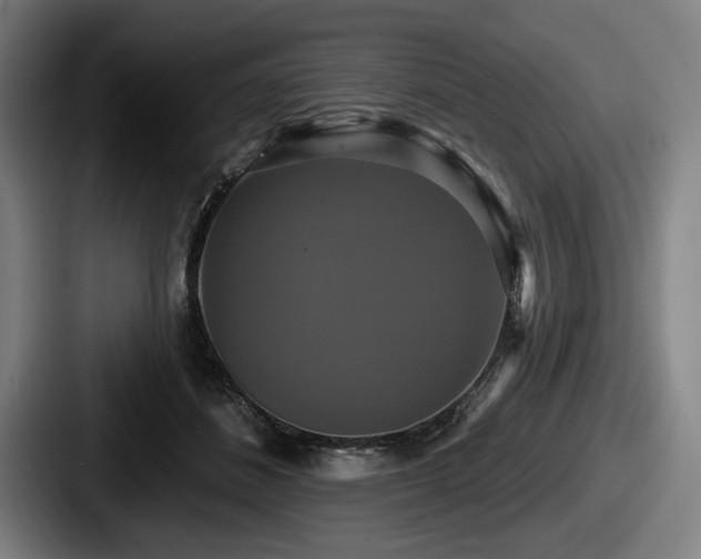 X0000087700508200705111405