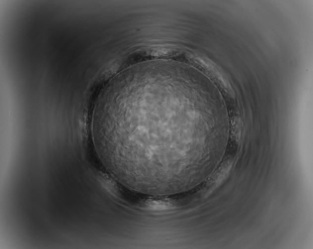 X0000087700510200705111405