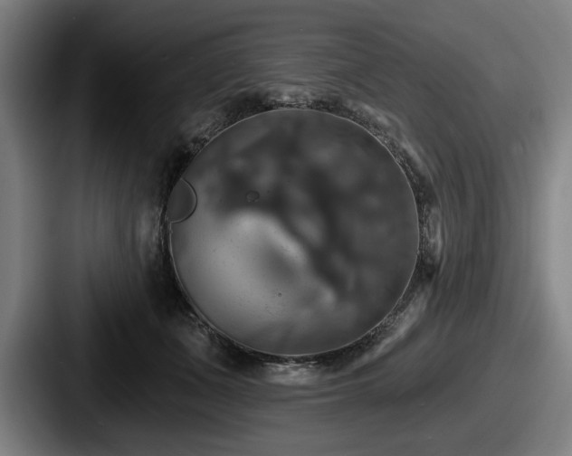 X0000087700511200705111405