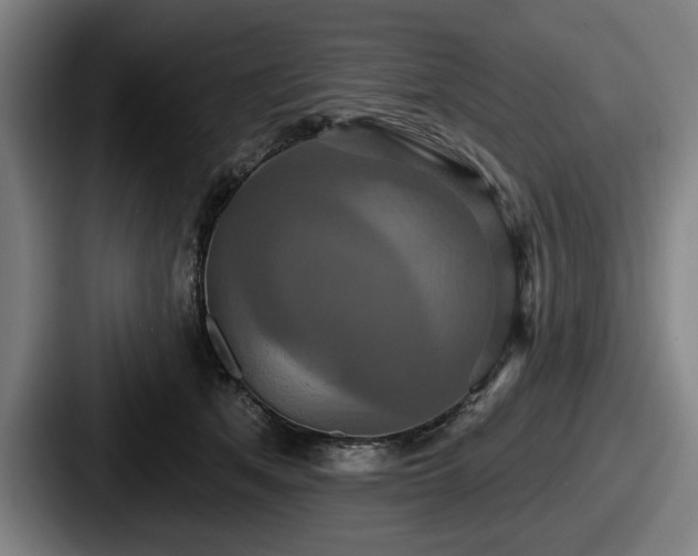 X0000087700513200705111405