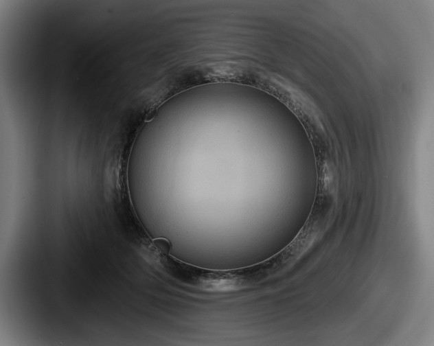 X0000087700514200705111405