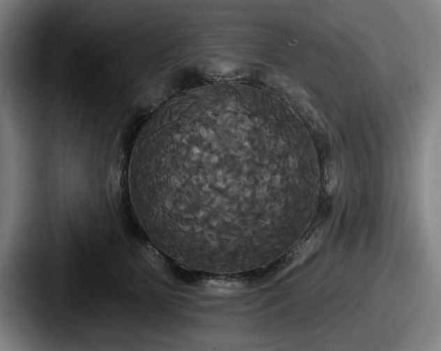 X0000087700515200705111405