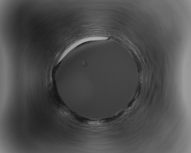 X0000087700516200705111405