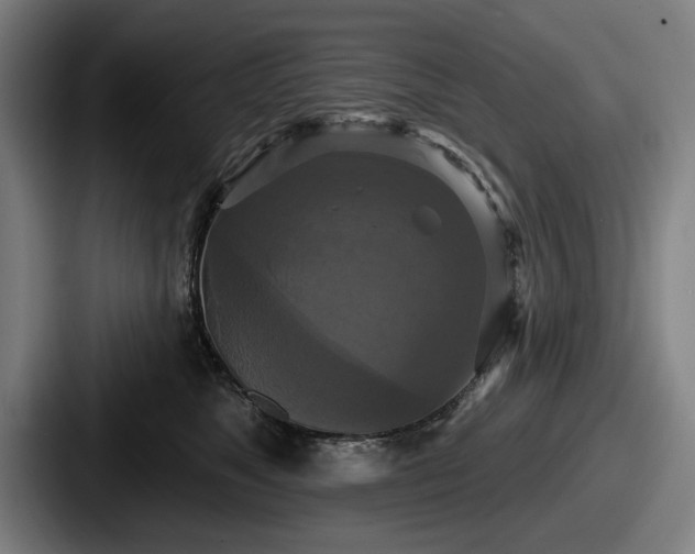 X0000087700517200705111405