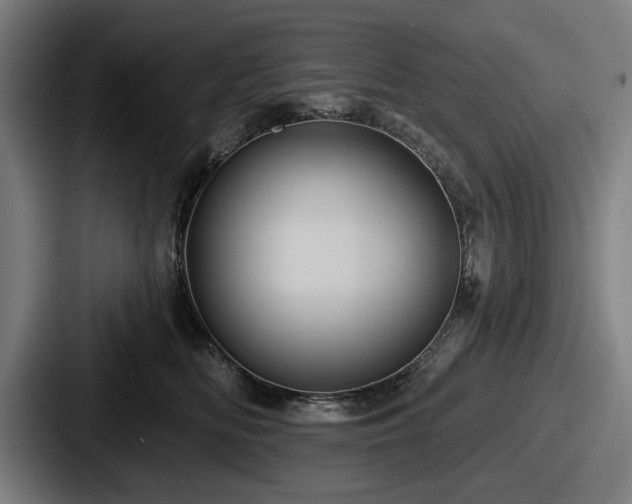 X0000087700518200705111405