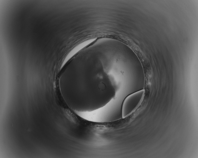 X0000087700519200705111405