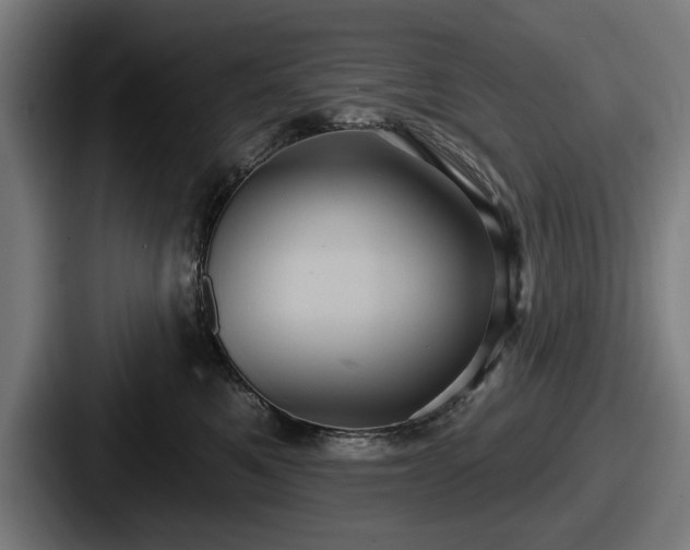 X0000087700521200705111405