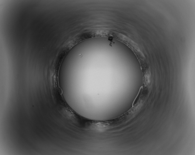 X0000087700522200705111405