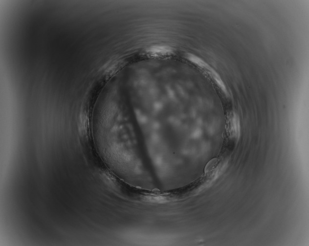 X0000087700523200705111405