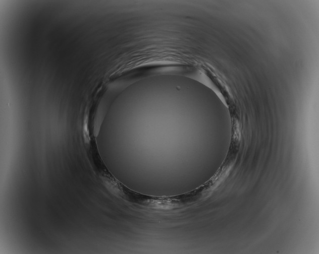 X0000087700524200705111405