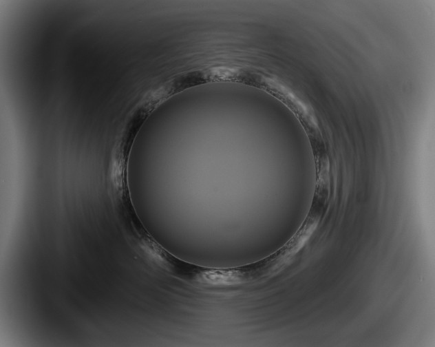 X0000087700526200705111405