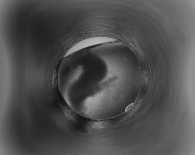 X0000087700527200705111405