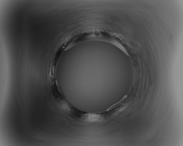 X0000087700528200705111405