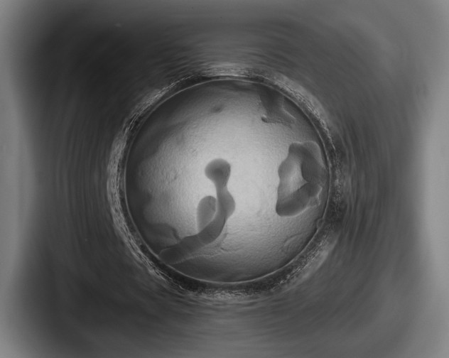 X0000087700529200705111405