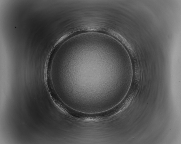 X0000087700530200705111405