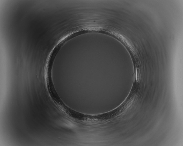 X0000087700531200705111405